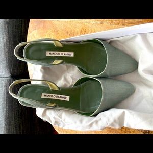 Manolo Blahnik Aspro Block Heel Pumps in Green